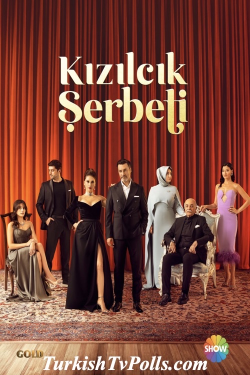 IPTV USA Türk Kanalları
